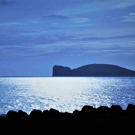 Alghero Sun & Sea - Spiaggia A 50 Metri Екстер'єр фото