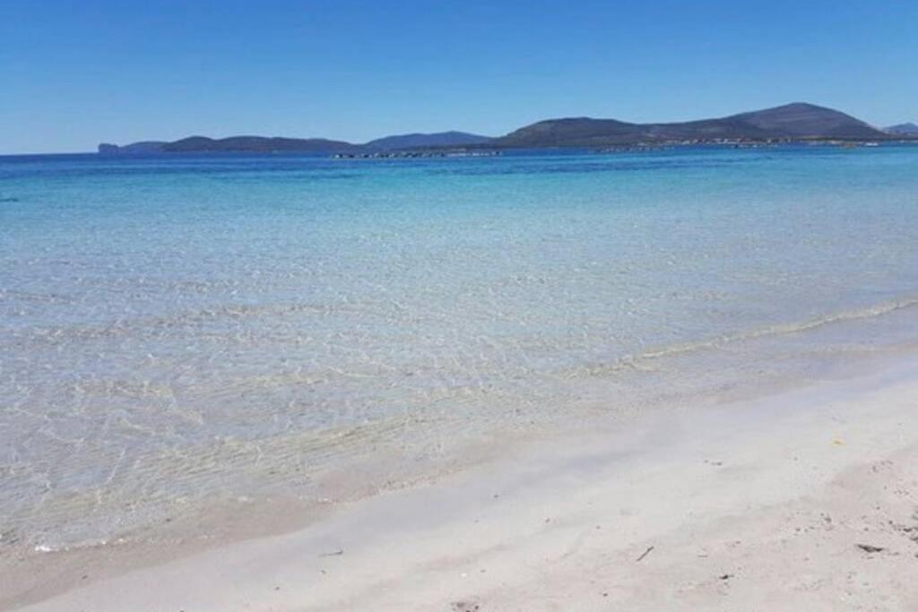 Alghero Sun & Sea - Spiaggia A 50 Metri Екстер'єр фото