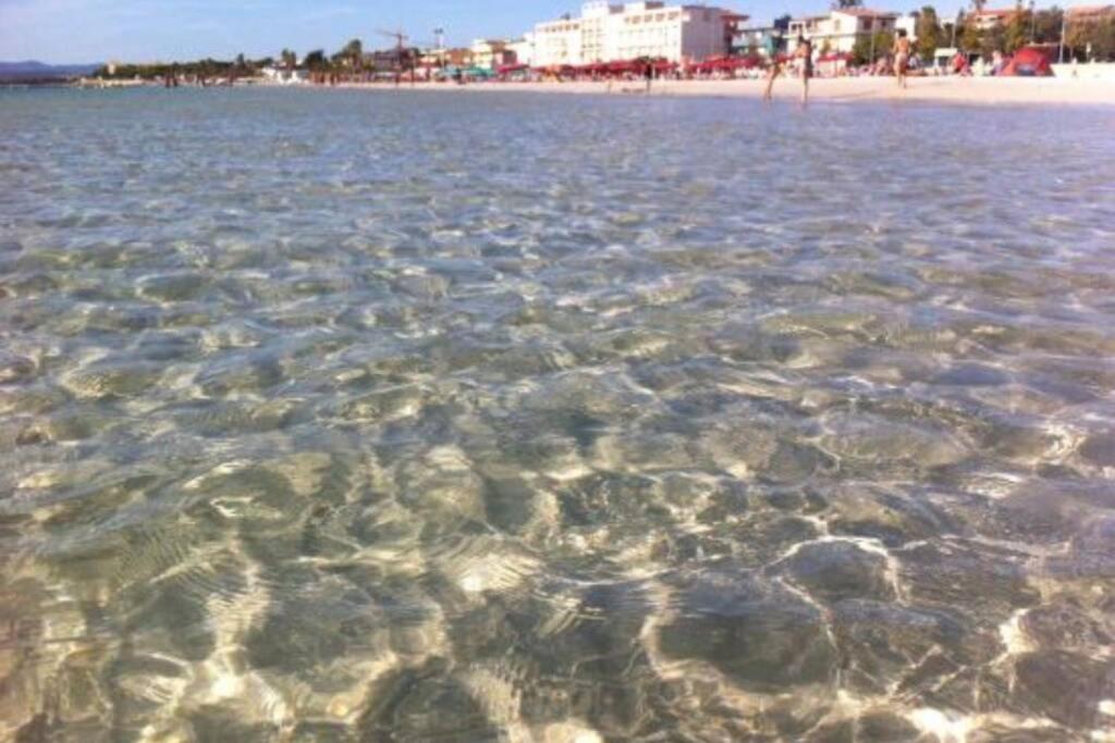 Alghero Sun & Sea - Spiaggia A 50 Metri Екстер'єр фото